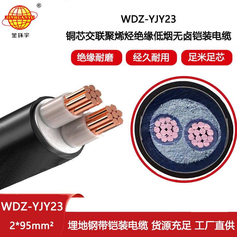 金環宇電線電纜 鋼帶鎧裝電力電纜WDZ-YJY23-2X95 深圳無鹵低煙電纜