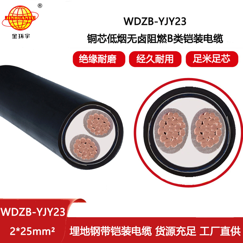 金環(huán)宇電線電纜 2芯電力電纜 b級(jí)阻燃低煙無(wú)鹵電纜WDZB-YJY23-2X25平方